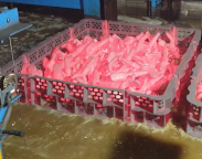 Bain de trempe industriel